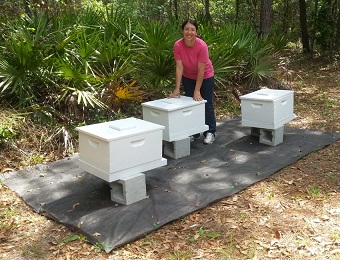 Kathy Fitos and her Bees